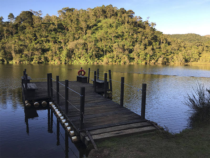 Sem Título-1_0007_IMG_2782