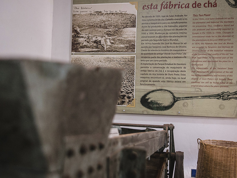 Sem Título-1_0009_48373404522_d831c1be79_k (1)