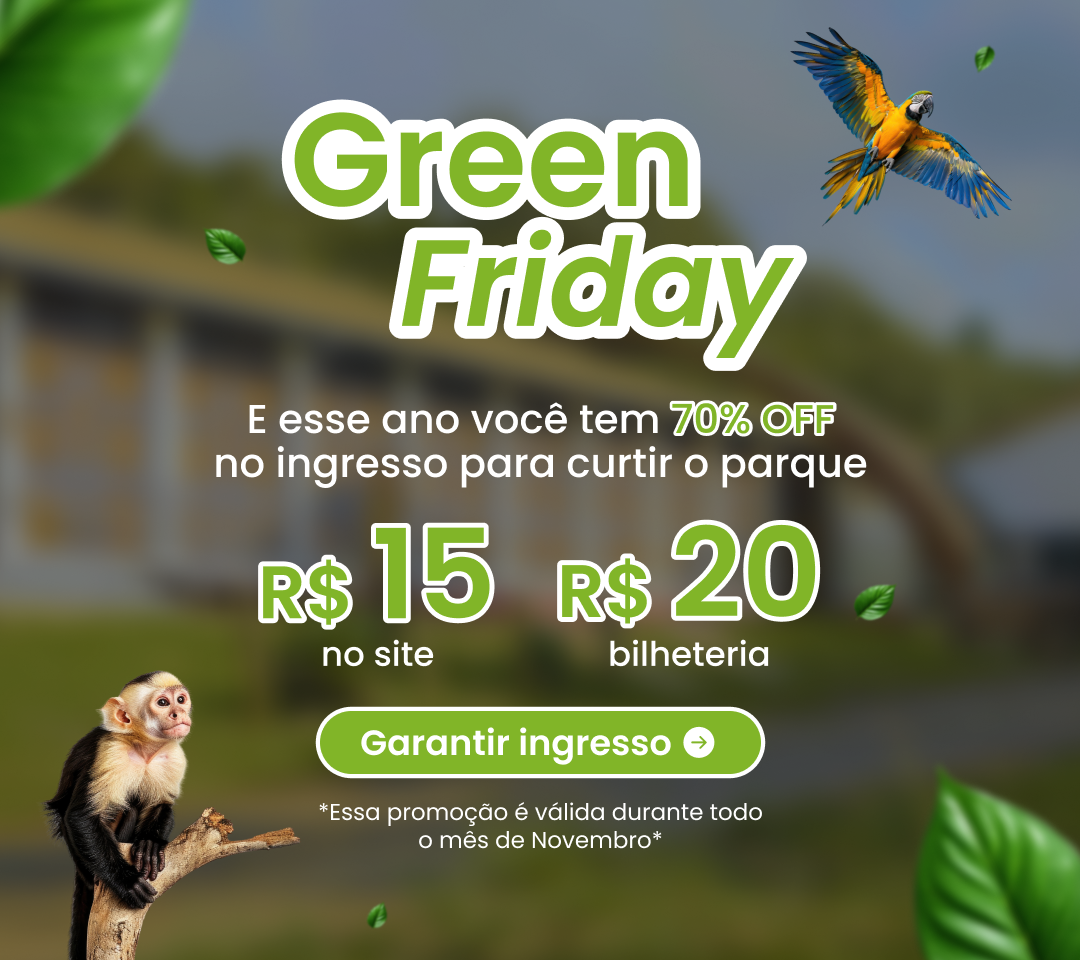 Green Friday